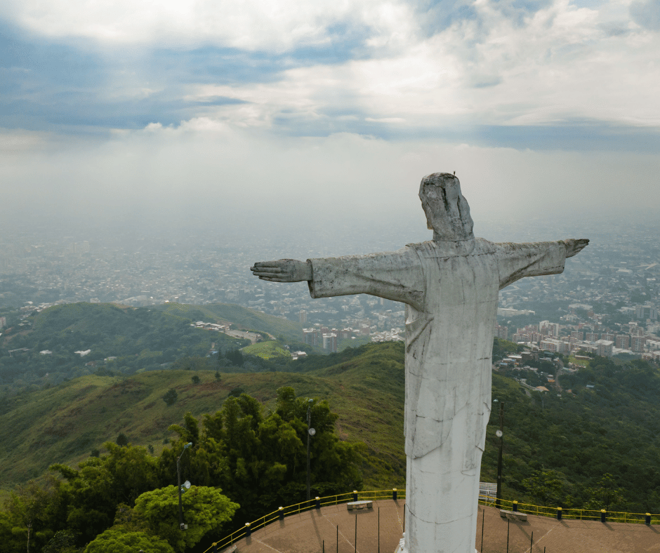 Image 12